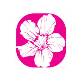 msapplication-TileImage