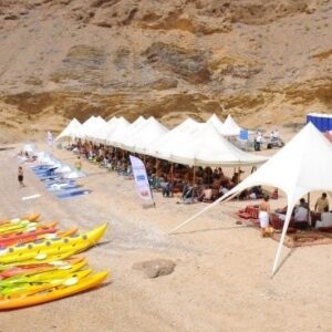 Az'Zaha Tours — dolphin watching and sea tours from Marina Bandar Al Rowdha, Muscat