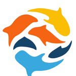 Global Scuba — scuba diving and snorkelling trips to the Daymaniyat Islands from Civil Aviation Club, Muscat