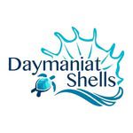 Daymaniat Shells — snorkelling and boat trips to the Daymaniyat Islands from Al Mouj Marina, Muscat