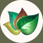 Four Seasons Spa Oman — independent spa with hammam, massage and beauty treatments across four locations in Muscat